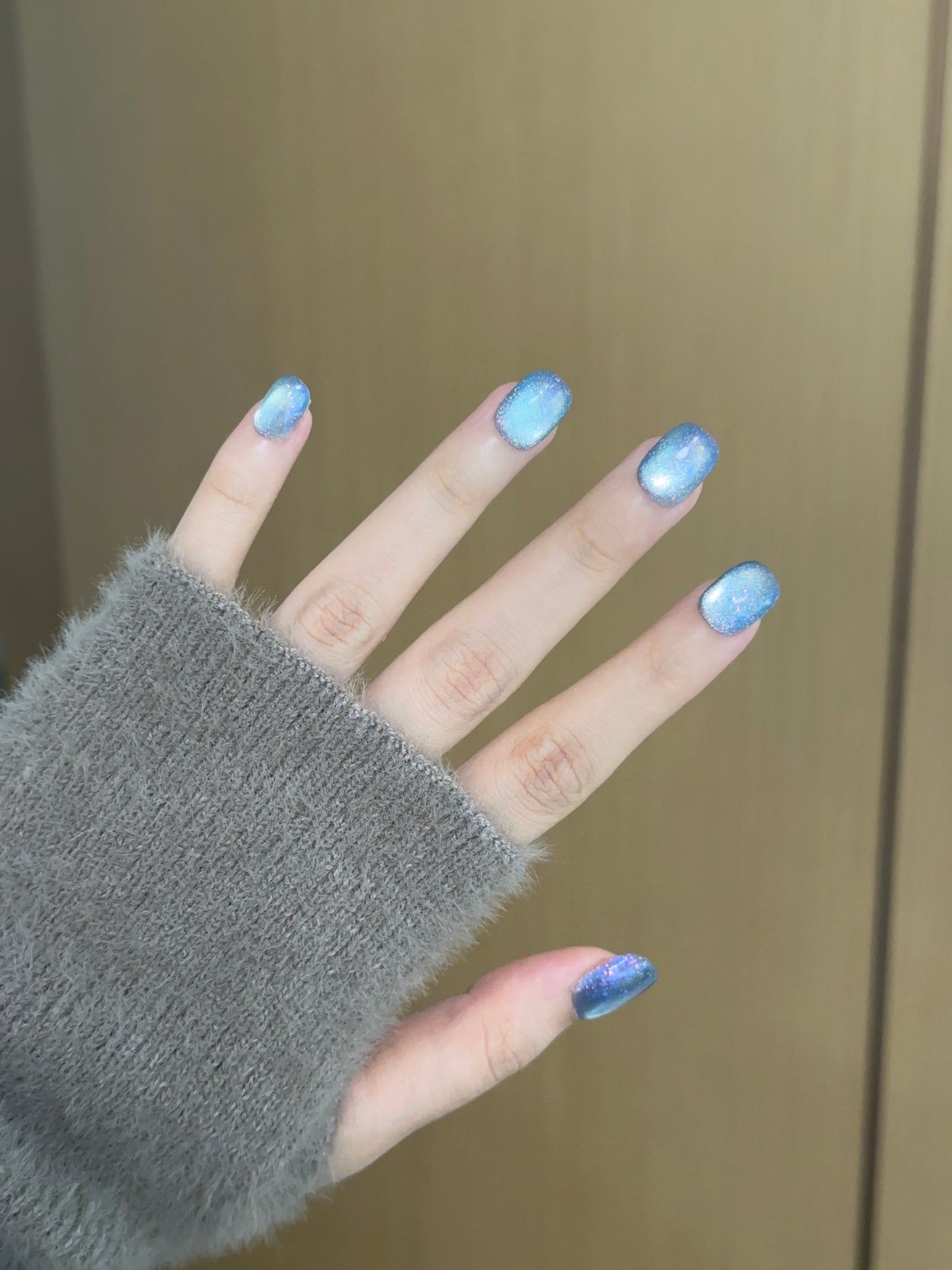 Squoval-Short Nail-Cat's Eye (10pcs) OMDXX091