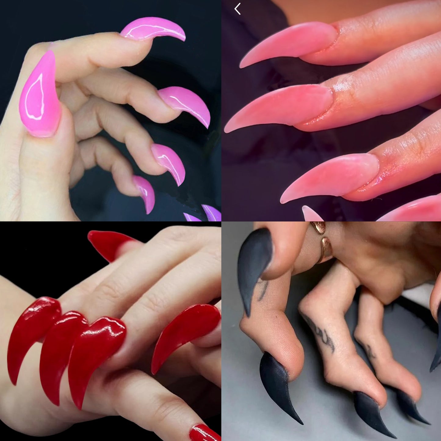 Eagle claw Nail Tips
